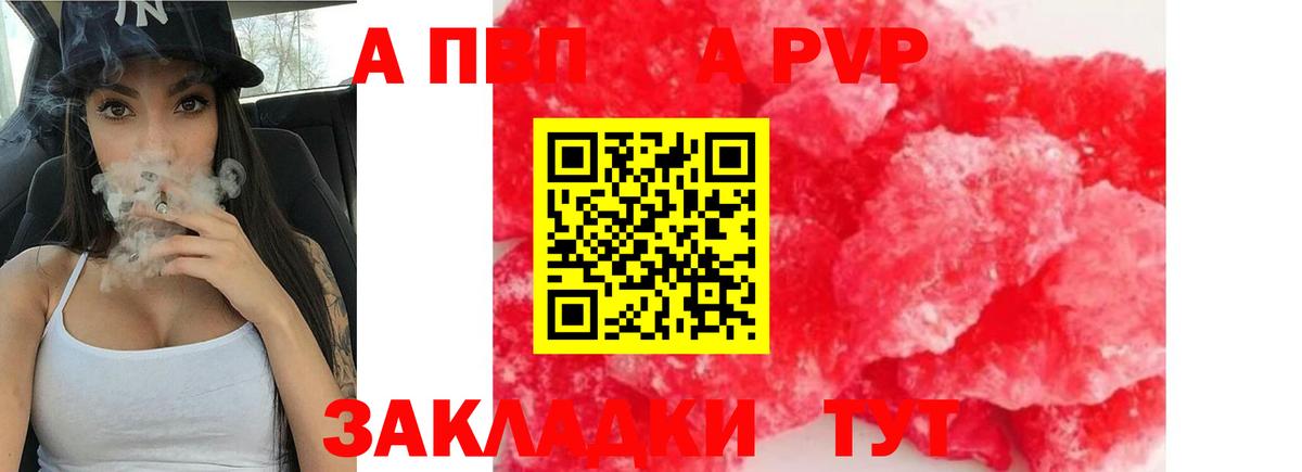A PVP СК Новошахтинск