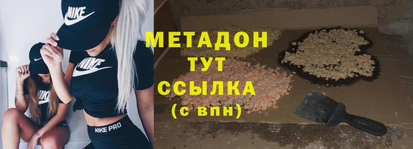 индика Алзамай