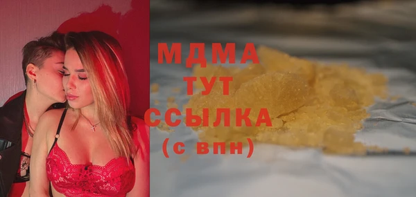 индика Алзамай