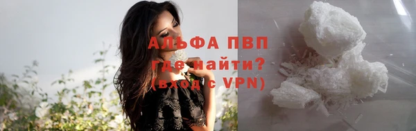 спайс Каменка