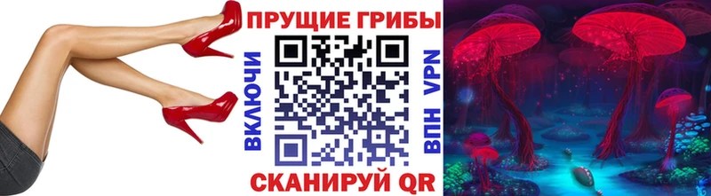 Псилоцибиновые грибы GOLDEN TEACHER сколько стоит Новошахтинск