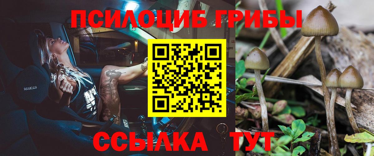 Псилоцибиновые грибы GOLDEN TEACHER  Вход с VPN  наркошоп  Новошахтинск 